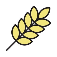 NULL  NULL