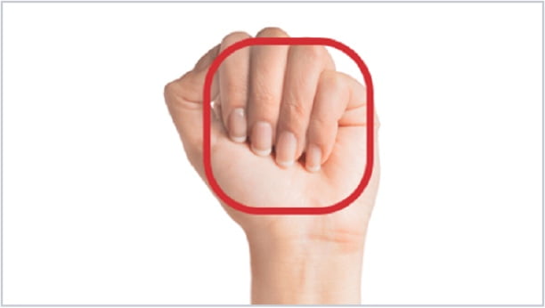 CLOSED FIST FACING PALM FORWARDup CLOSED FIST FACING PALM FORWARD.jpg