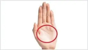 Open palm facing forward. Small circle drawn over palm. Open palm facing forward. Small circle drawn over palm.