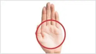 Open palm facing forward. Large circle drawn over flat hand. Open palm facing forward. Large circle drawn over flat hand.