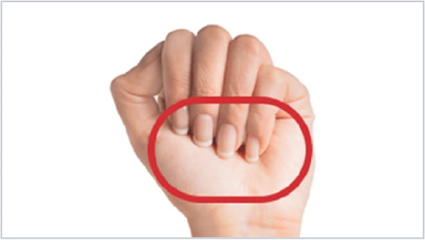 Fisted hand facing palm forward. Small oval drawn over palm. Fisted hand facing palm forward. Small oval drawn over palm.